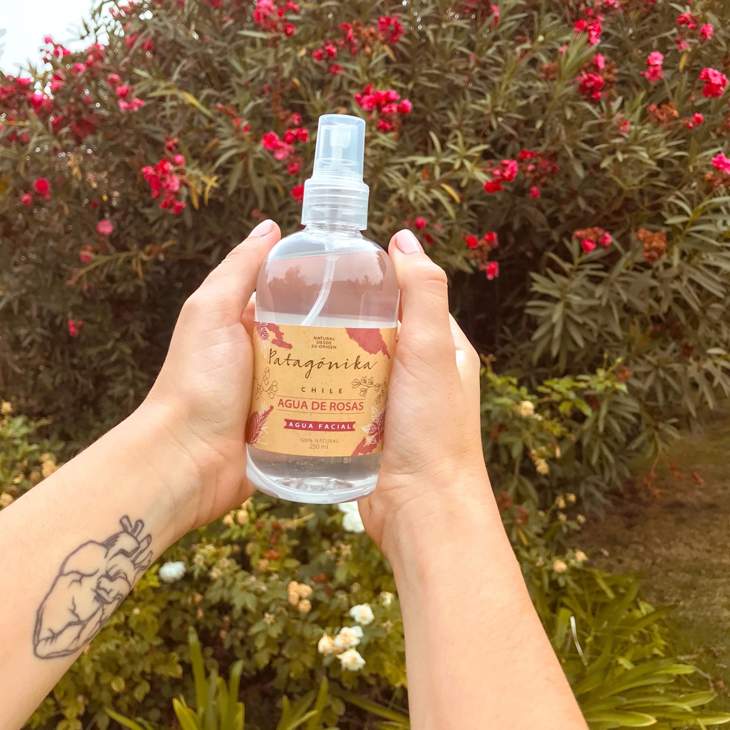 Agua de Rosas