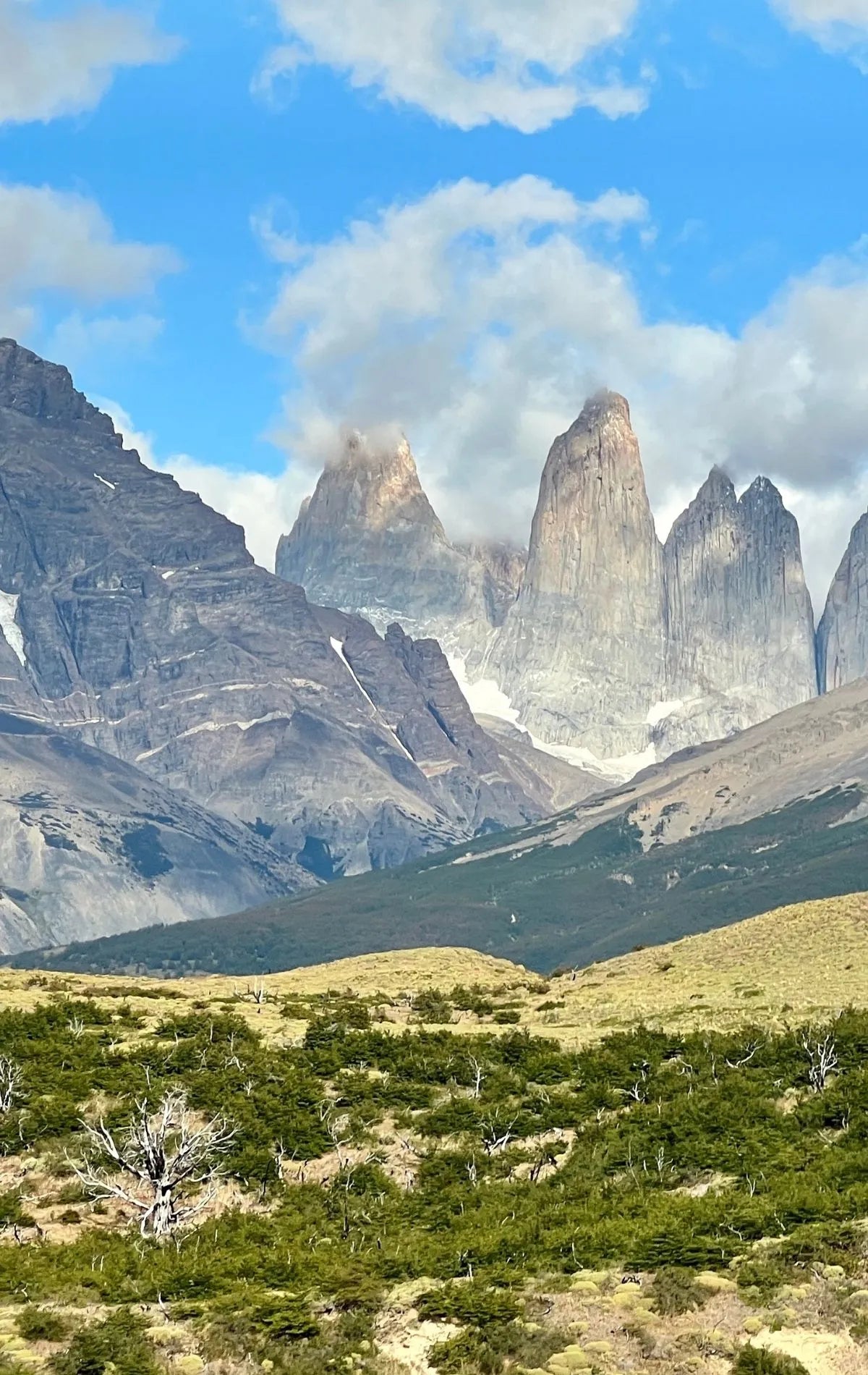 Patagonika Natural