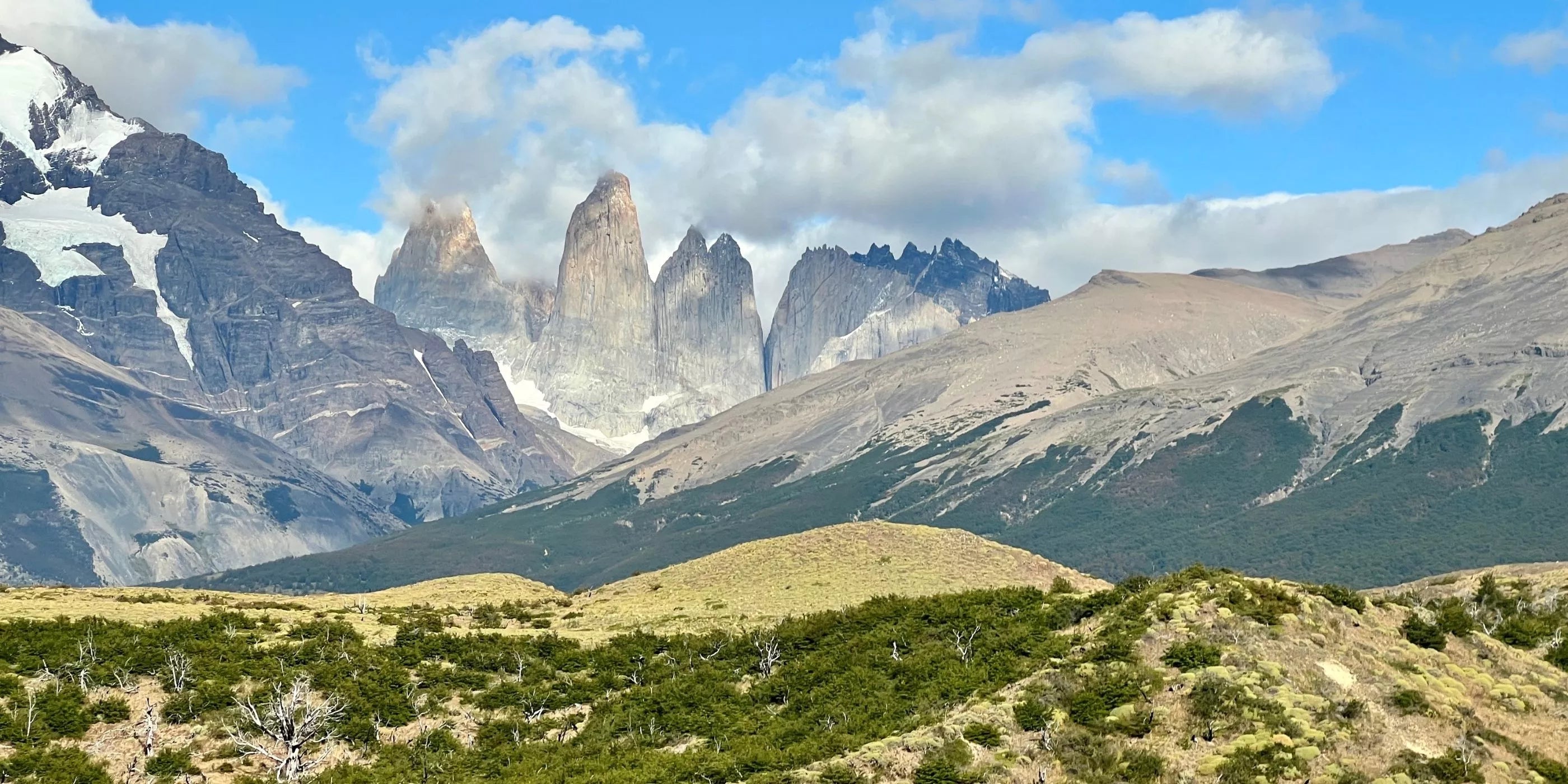 Patagonika Natural